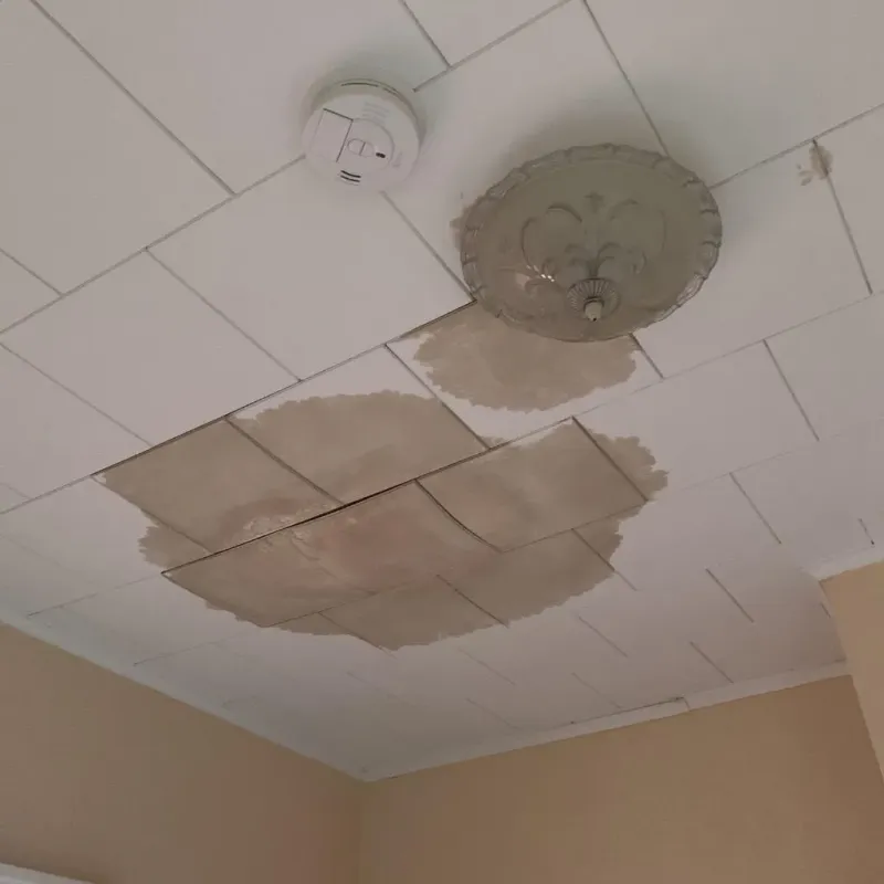 Ceiling Water Damage Repair in Lawtell, LA