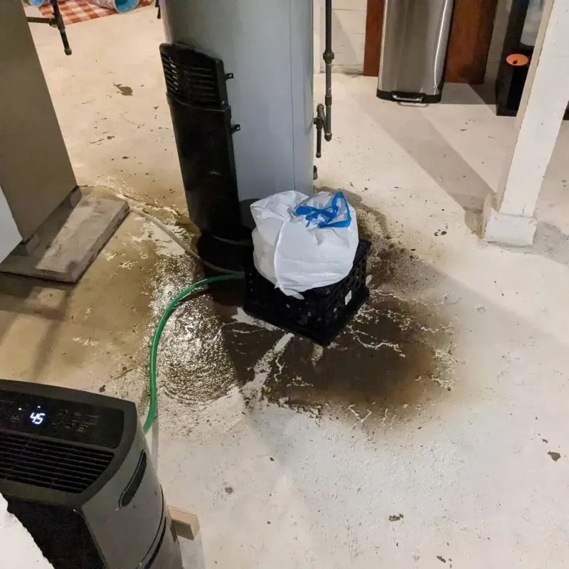Sewage Backup Cleanup Service in Lawtell, LA
